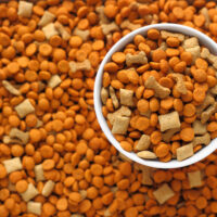 4 Tips to Pick Nutritious Cat Treats