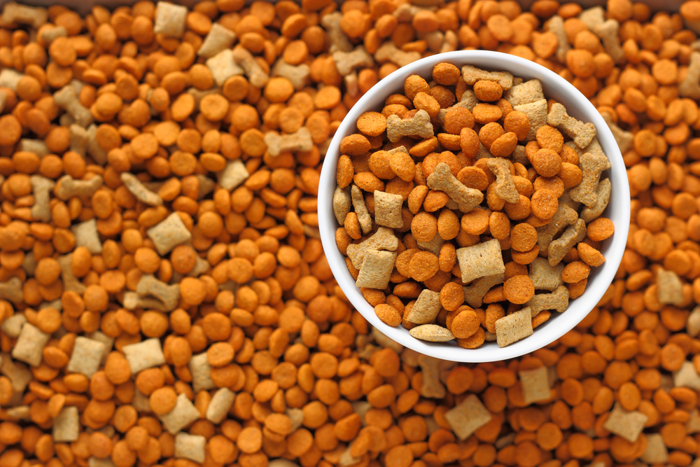 4 Tips to Pick Nutritious Cat Treats