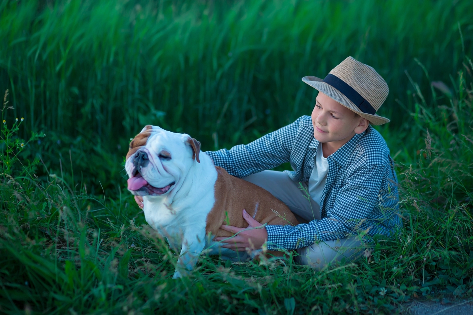 5 Ticks Hotspots to Avoid With Your Dog